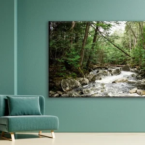 Jungle river