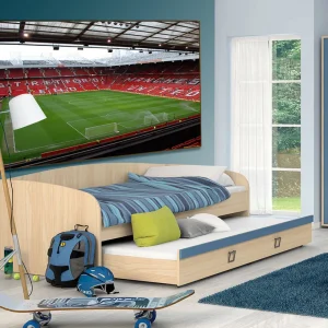 Manchester united