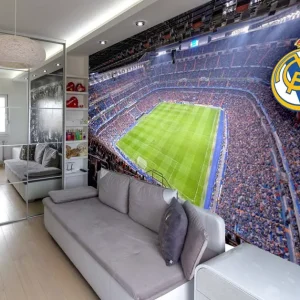 Real madrid fans