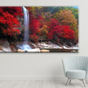 Red trees escape
